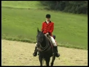 DP UM - Hurenhacker - Fotzen-Locher - Dumm Fickt Gut - Girls In Uniform 2.mp4_snapshot_00.12.028