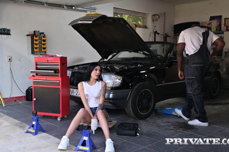 Luna Bunny – (AnalIntroductions / Private)...