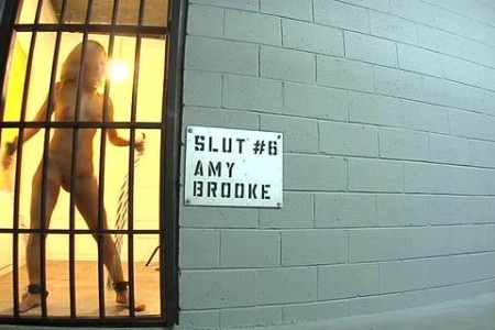 Amy Brooke – (Evil Angel / Belladonna...